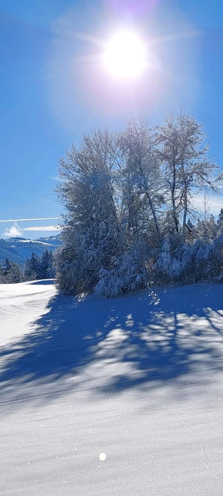 Traumplatz Im Allgaeu Реттенберг Экстерьер фото